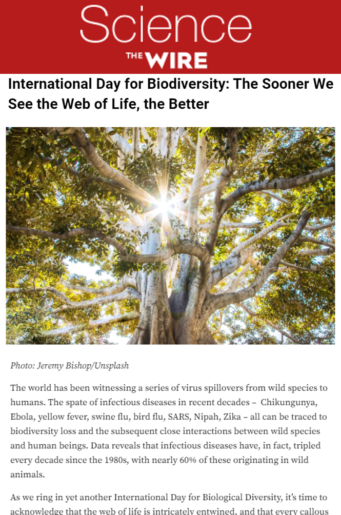 International Day for Biodiversity: The Sooner We See the Web of Life, the Better